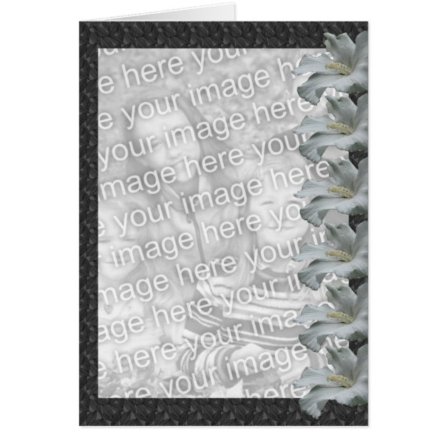 Cartão com fotos Floral Design de Hibiscus Branco (Frente)