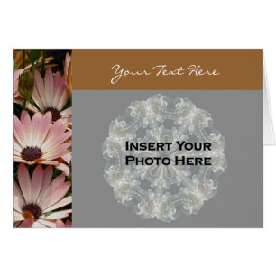 Cartão com fotos Floral do Rosa African Daisies