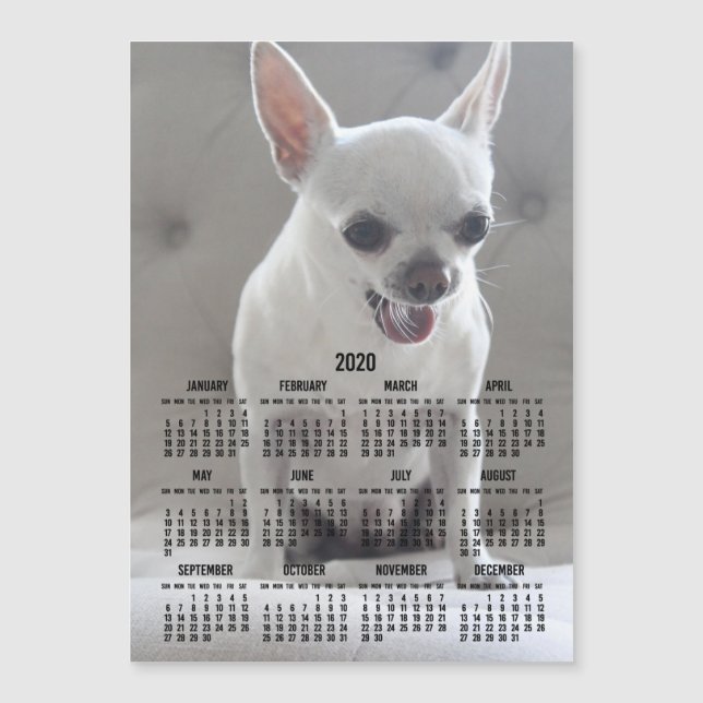 Cartão com fotos magnético Chihuahua Calendar 2020 (Frente)