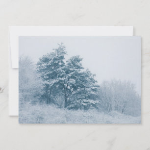 Cartão com fotos natural de inverno da Árvore cobe