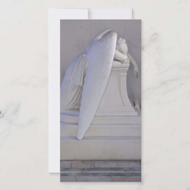 Cartão com fotos Nunca Semear Sozinho (vista later (Frente)