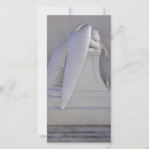 Cartão com fotos Nunca Semear Sozinho (vista later