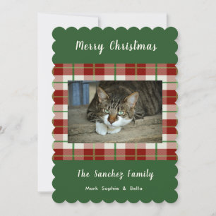 Cartão com fotos Pet Cat Dog Feriado de Natal