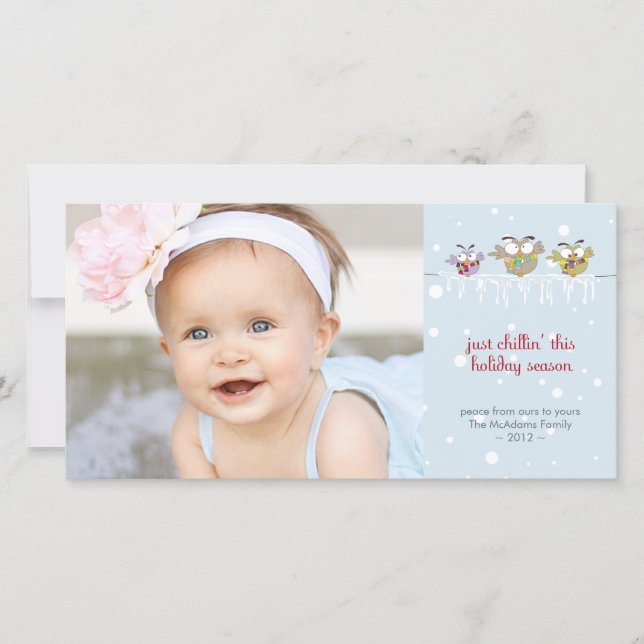 Cartão com fotos Premium das Corujas Chillin' 4x8 (Frente)