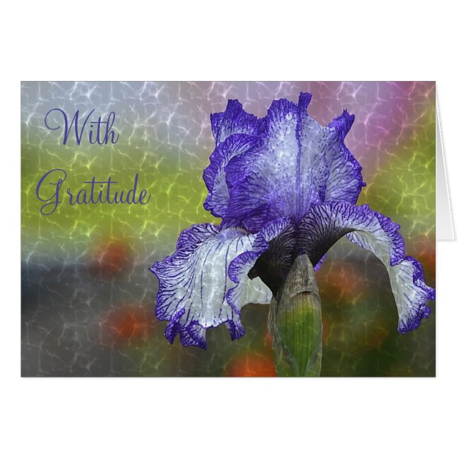 Cartão "Com Gratidão" Obrigado (Frente horizontal)