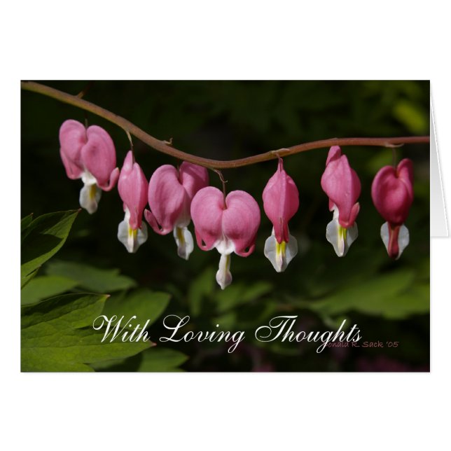 Cartão Com pensamentos Loving (Frente horizontal)