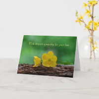 Com profunda simpatia - Flor Amarelo