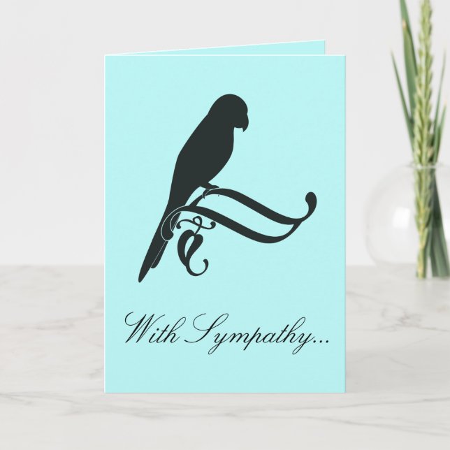 Cartão Com simpatia pela perda de um papagaio (Frente)
