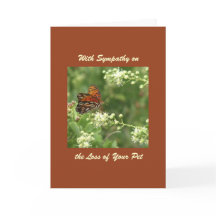 Com simpatia, Perda de Pet, Borboleta Laranja