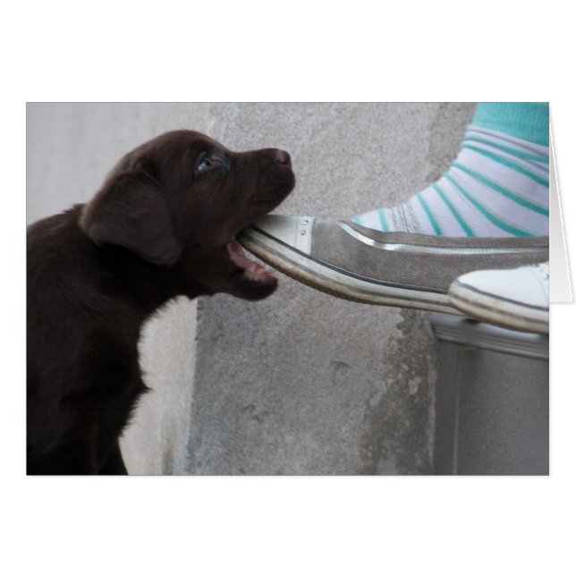 Cartão Coma O Meu Calçado! Labrador Puppy (Frente Horizontal)