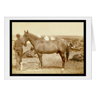 Cartão Comanche, cavalo SD 1887 do exército