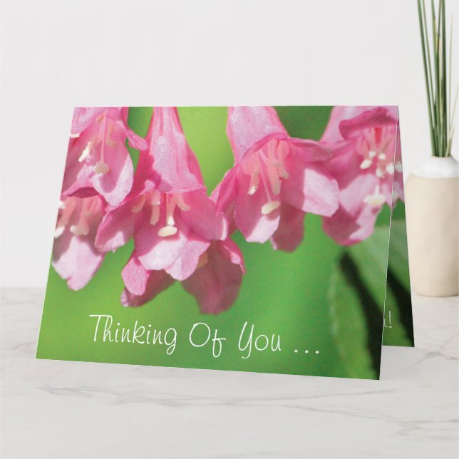 Cartão Comece bem logo, Notecard (Frente)