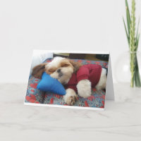 COMEDIC DOG DIZ: FAÇA ISSO NO DIA DE OS PAIS