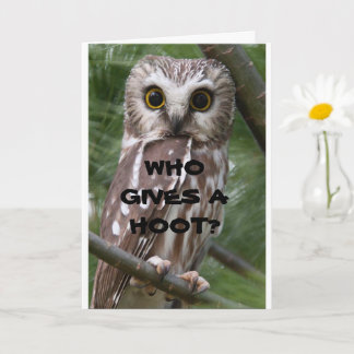 CARTÃO * COMEDIC OWL* ANIVERSÁRIO** HUMOR