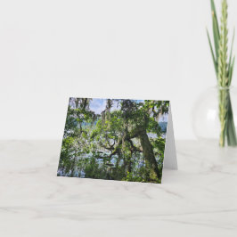 Cartão Comemorativo Folha Dupla. Pântano