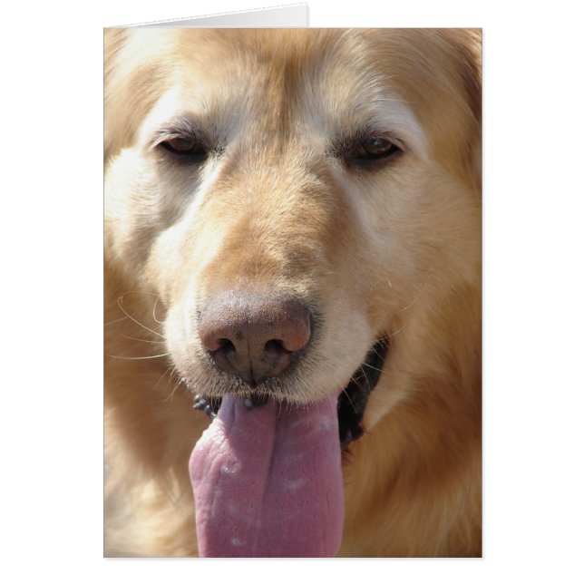 Cartão Cometa o Ouro (Frente)