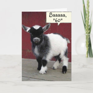 Cartão *COMICAL GOAT* YOU STILL LOOK "59" ON YOUR *60th*