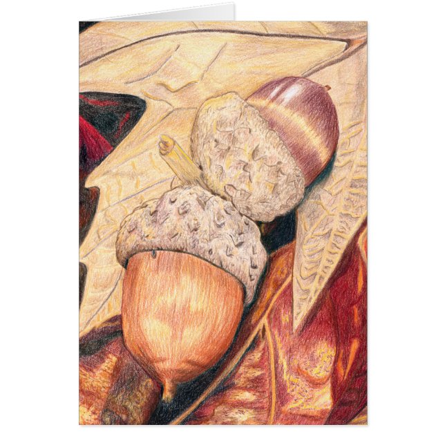 Cartão Comida do esquilo (Frente)