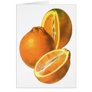 Cartão Comidas Vintage, Laranjas frescas e orgânicas Frut