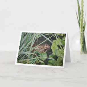 Cartão common frog greetings card