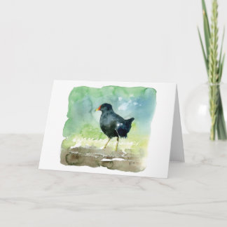 Cartão common moorhen