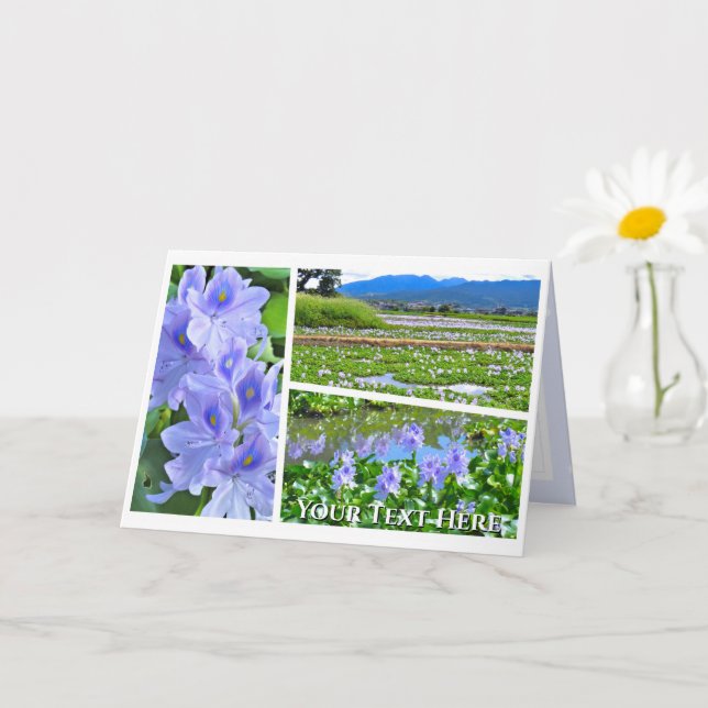 Cartão Common Water Hyacinth (Planta pequena)