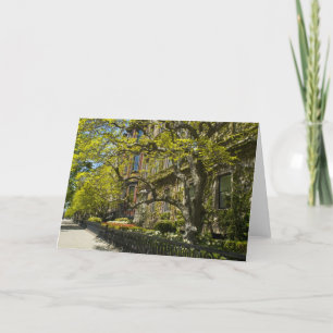 Cartão Commonwealth Ave Bldg, Boston MA