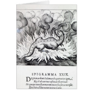 Cartão Como as vidas da salamandra no fogo