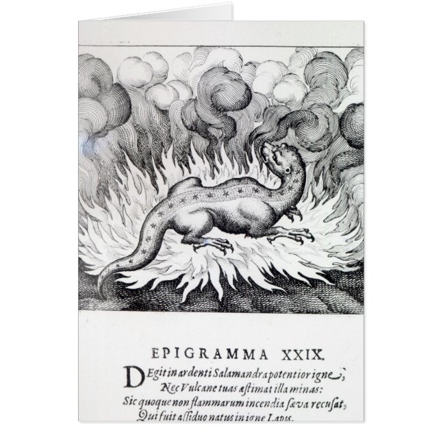 Cartão Como as vidas da salamandra no fogo (Frente)