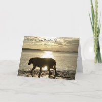 Como Cachorros Inspiraram Ruas.