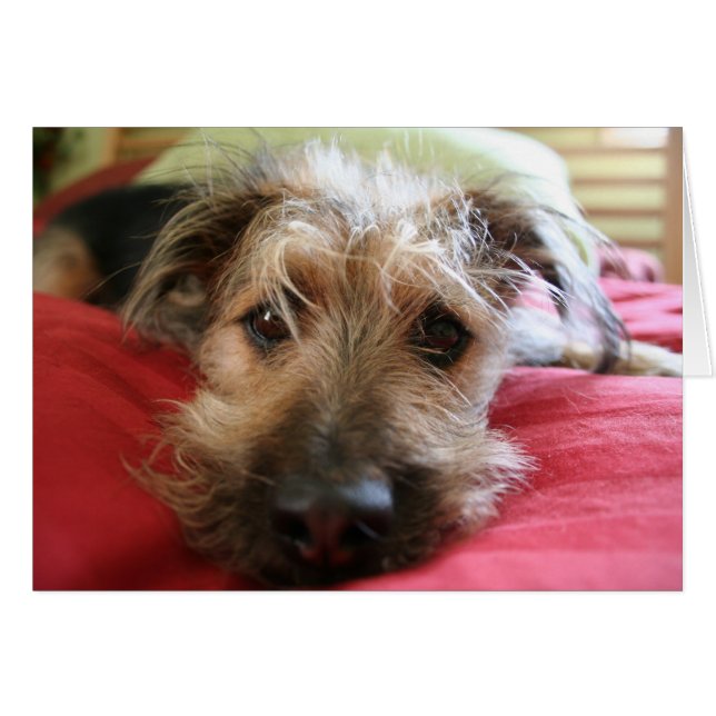 Cartão Como é você? (Frente Horizontal)