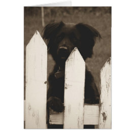 Cartão como estão as coisas?