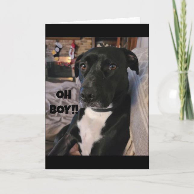 CARTÃO COMO EXPLICAREMOS A VIRTUDE **40*** HUMOR DE ANIVE (Frente)