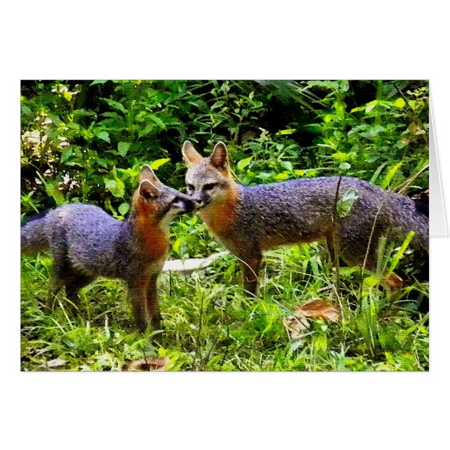 CARTÃO COMO O PAI GOSTE DO FILHO (Frente horizontal)