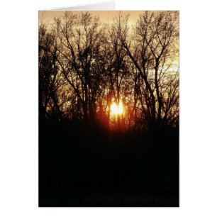 Cartão Como O Sol Se Define
