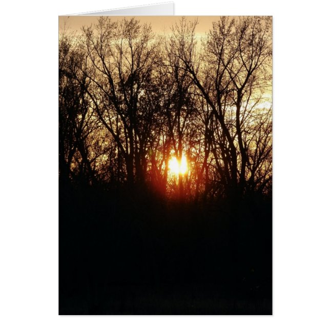 Cartão Como O Sol Se Define (Frente)