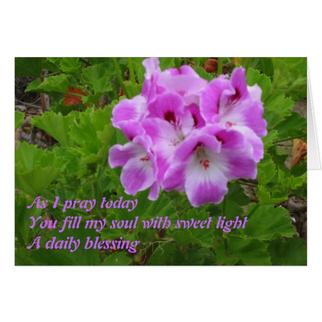 Cartão Como Rezo Hoje (Frente Horizontal)