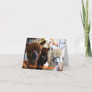 Cartão Como te llamas? Notecard
