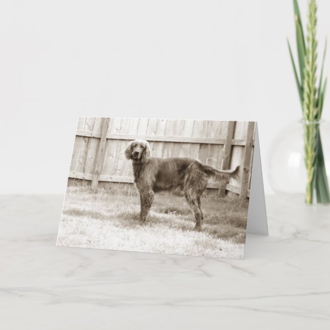 Cartão Como vai? (Frente)