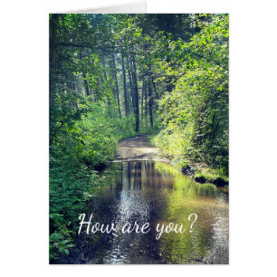 Cartão Como vai? Cena Pacífica do Lago Florestal