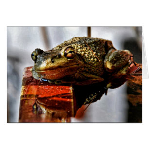 Cartão Como VOCÊ Doin'?