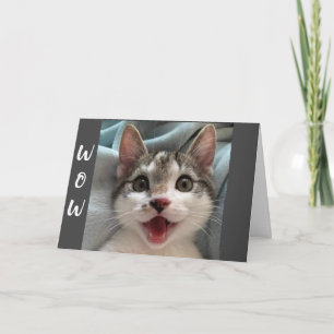 CARTÃO COMO VOCÊ ESTÁ RODANDO O ""13"" DIZ PLACA CAT