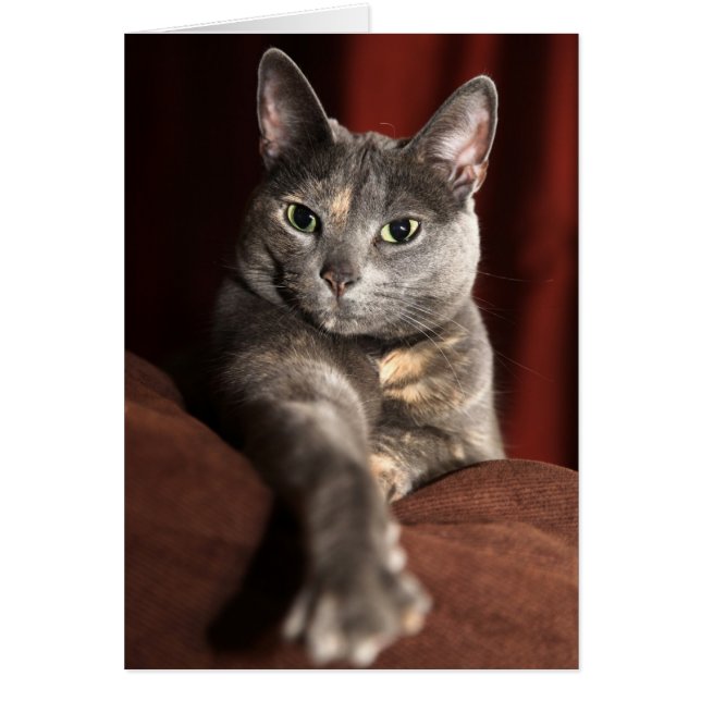 Cartão Como você esteve? (Frente)