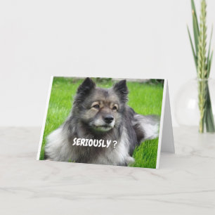 CARTÃO COMO VOCÊ PARECE TÃO JOVEM GÊMEO QUE DIZ CUTIE PUP