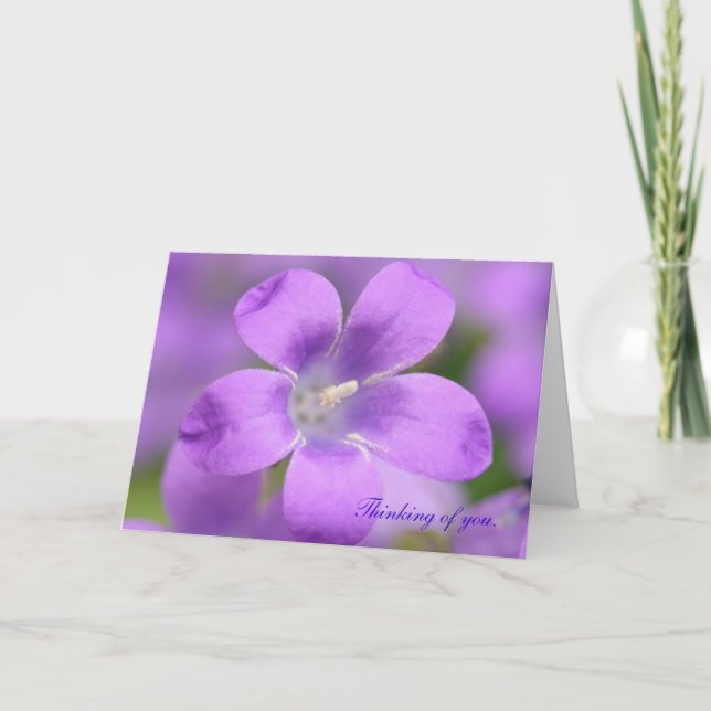 Cartão Companula. Pensando em você, Card (Frente)