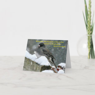 Cartão Compartilhe as Alegrias da Temporada