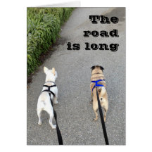 Compartilhe da viagem