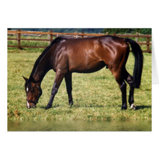 Cartão Compartimento de Reflexão