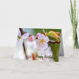 Cartão Composição Floral Natural Das Flores Sakura