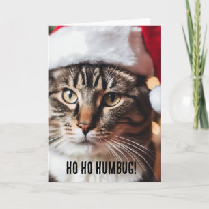 Cartão Comprimido Festivo